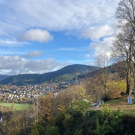 Nest Schiltach