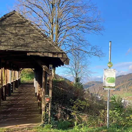 Nest Apartment Schiltach