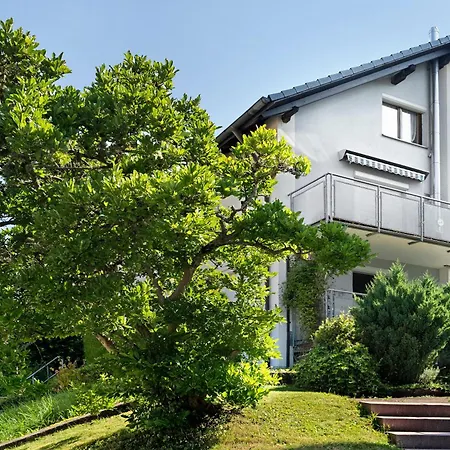 Nest Apartment Schiltach